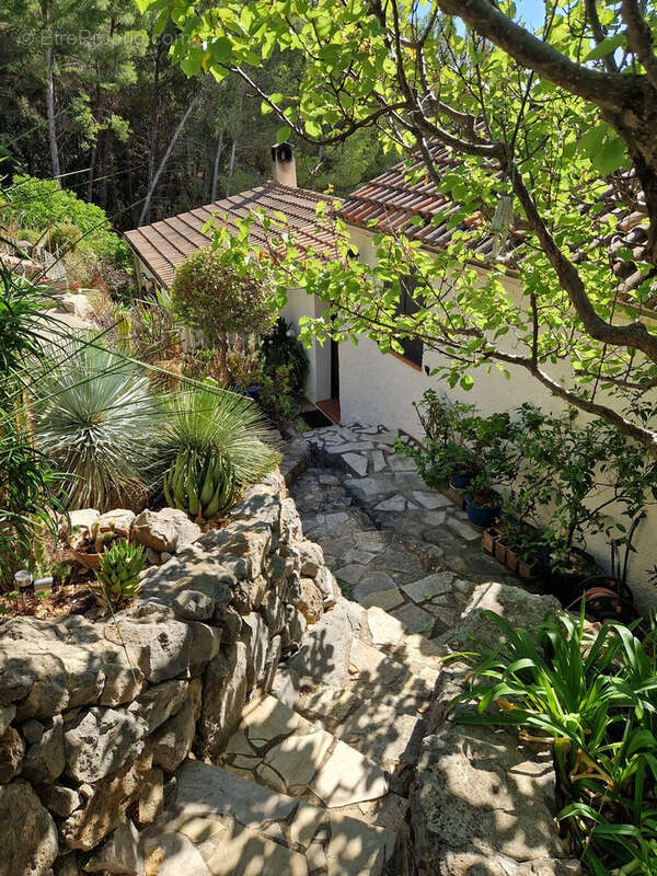 Maison à LA VALETTE-DU-VAR