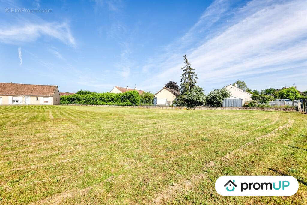 Terrain à MONCE-EN-BELIN