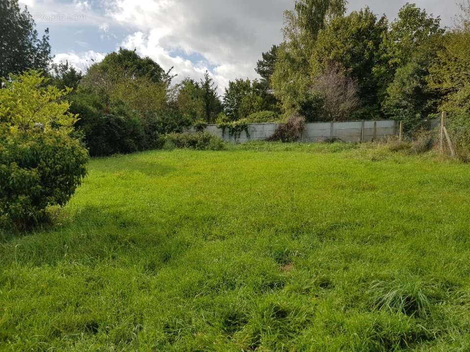 Terrain à BREVAL