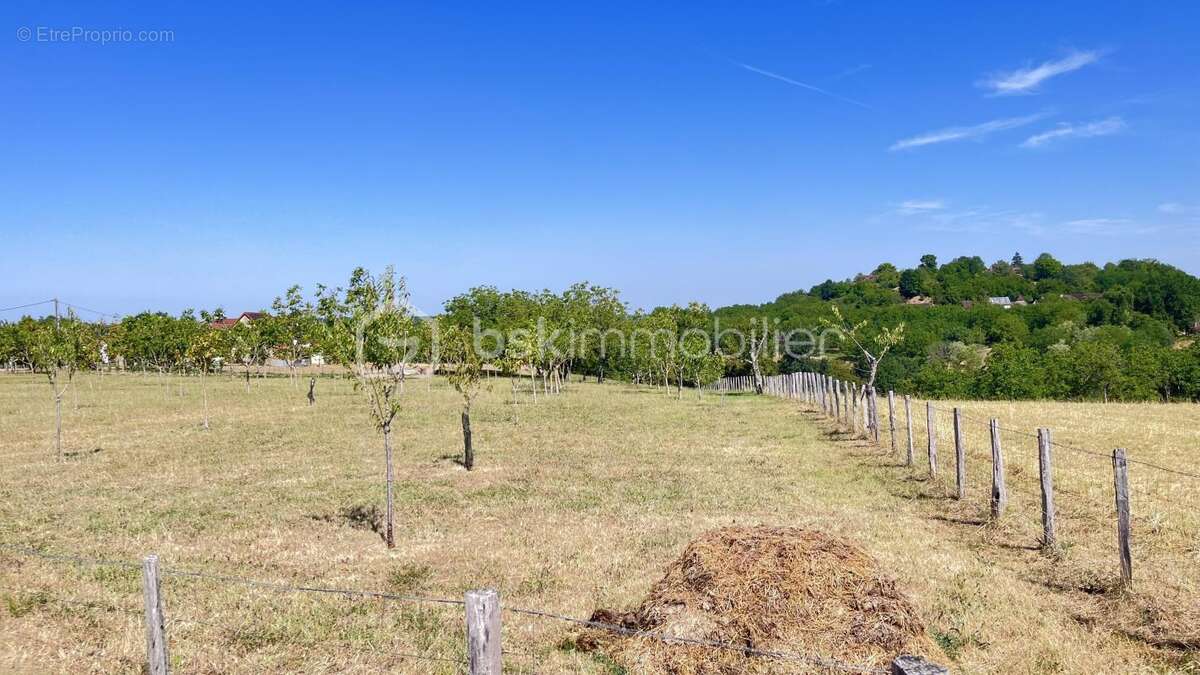  L'Écrin du Verger – Terrain constructible d'environ 2 000 m² à Nailhac - photo 6