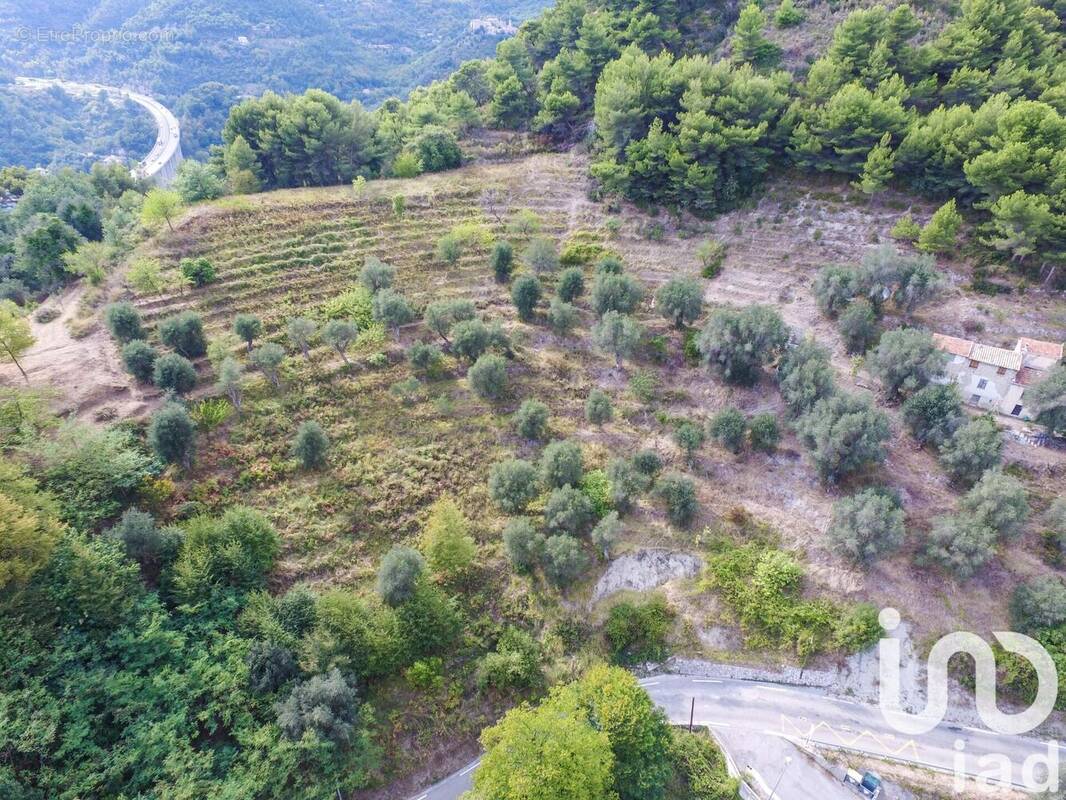 Photo 1 - Terrain à SAINTE-AGNES