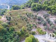 Photo 1 - Terrain à SAINTE-AGNES