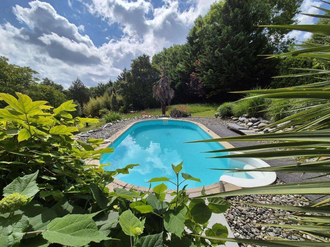 Maison à MONTAUT-LES-CRENEAUX