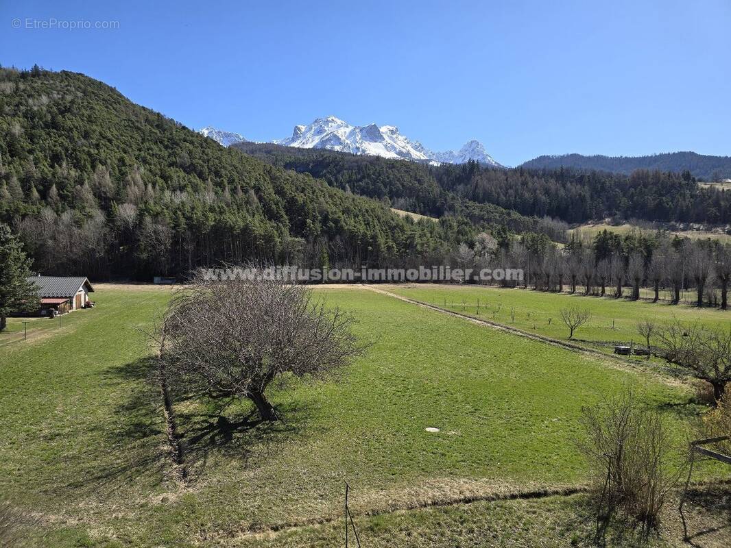 Terrain à BARCELONNETTE