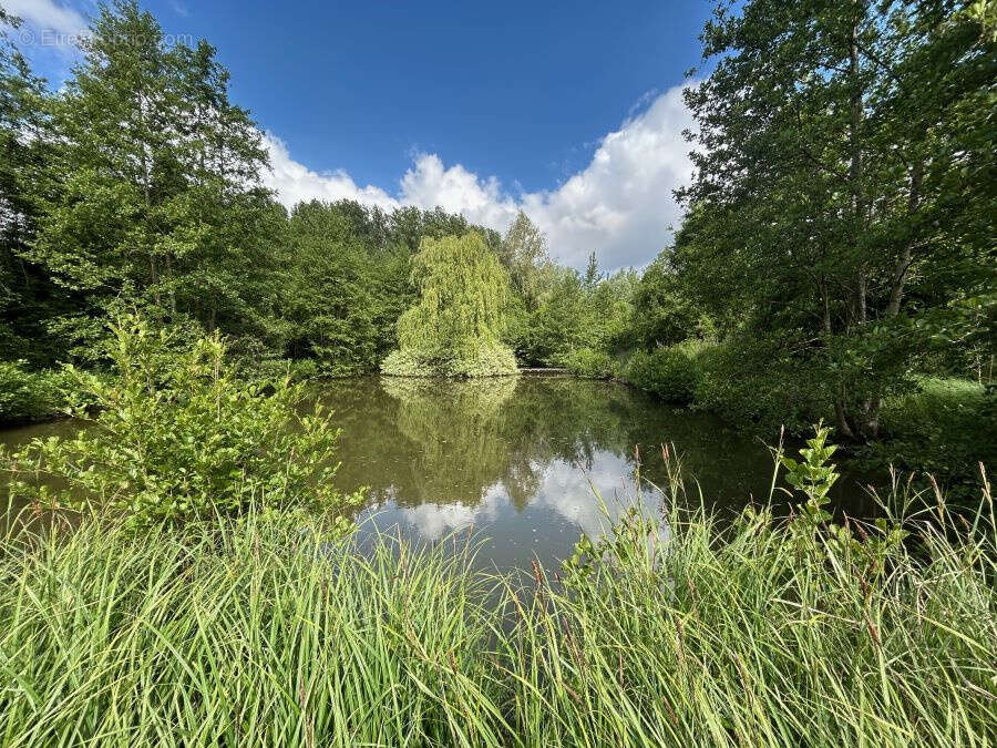 Terrain à SAINT-AMAND-LES-EAUX