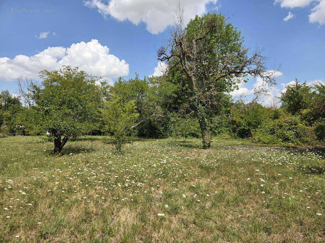 Maison de pays à vendre - photo 2