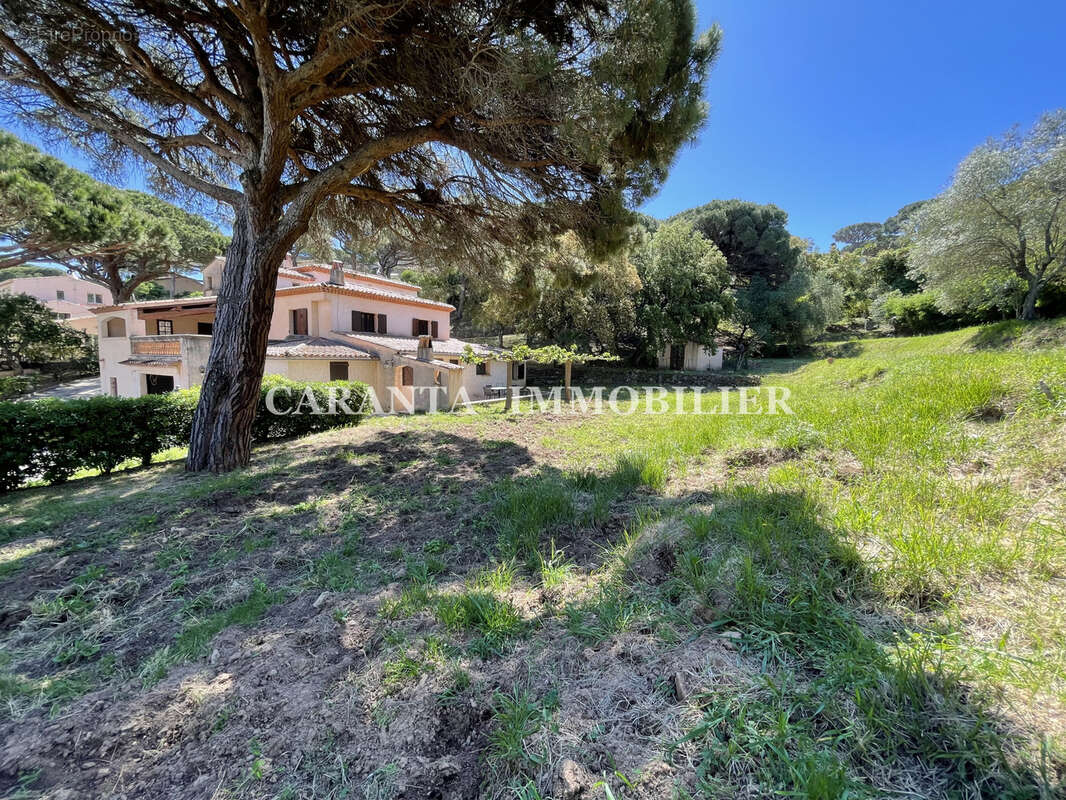 Vente Villa 9 pièces Ste Maxime avec garage et T3 indépendant. - photo 3