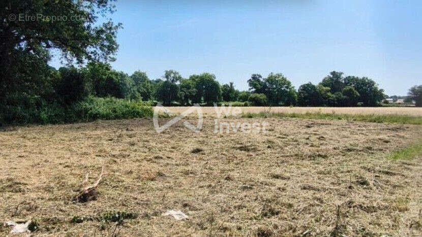 Terrain à AUSSEVIELLE