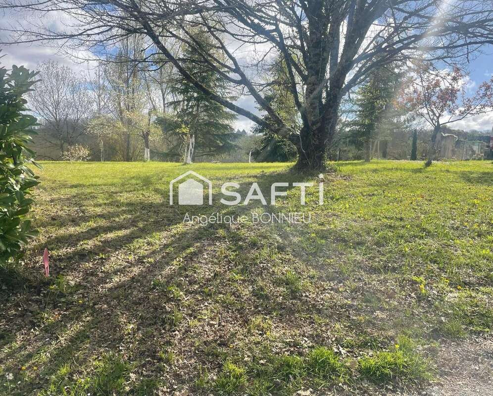 Photo 7 - Terrain à PONT-DU-CASSE