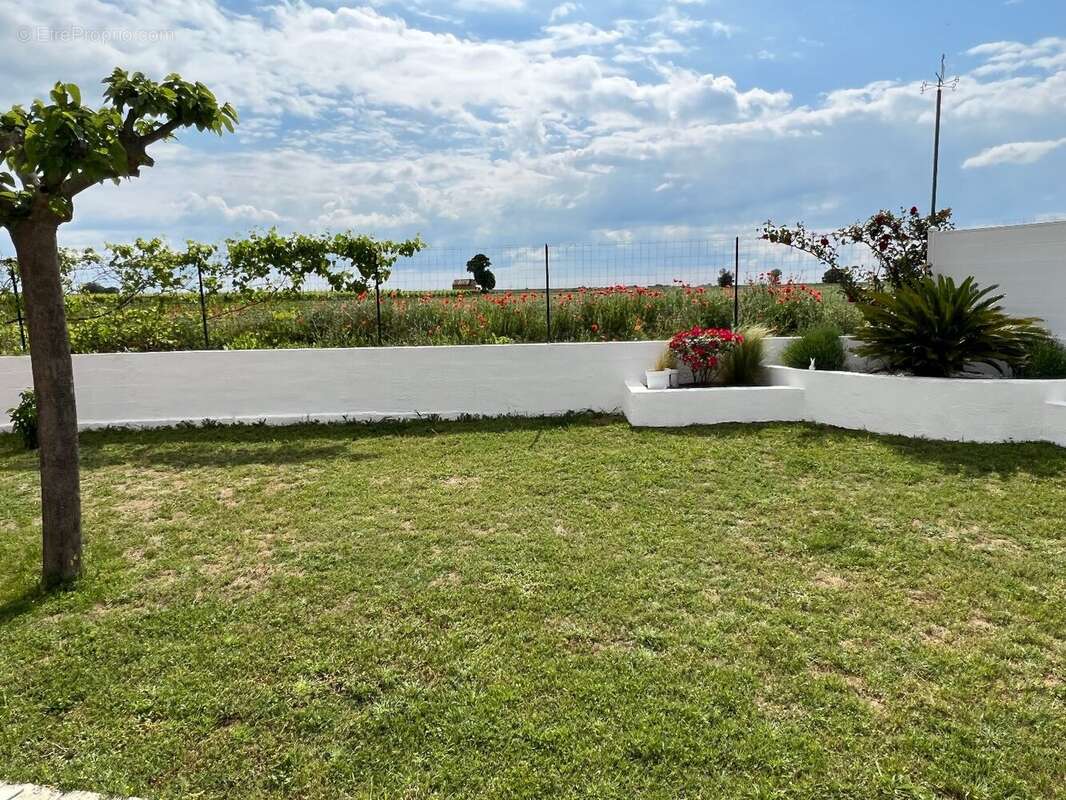 Maison à ESPONDEILHAN