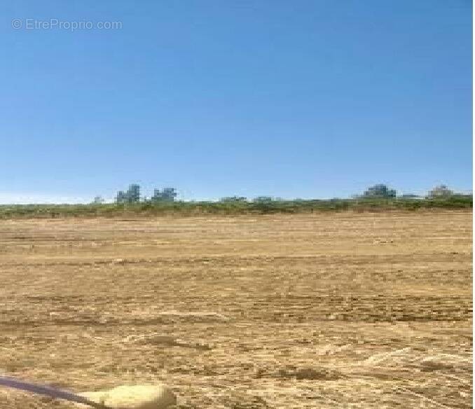 Terrain à ROUTIER