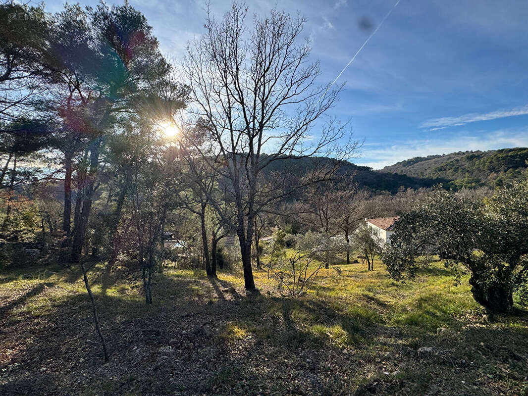 A VENDRE ! Terrain constructible à Montferrat - 1000 m² - photo 3