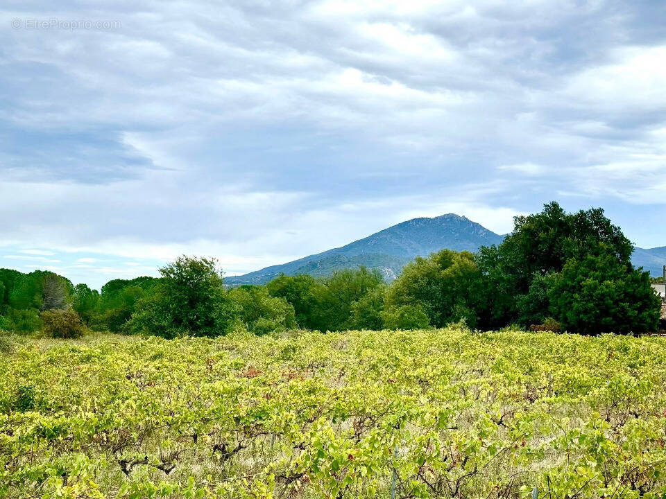 Terrain à SAINT-JEAN-PLA-DE-CORTS