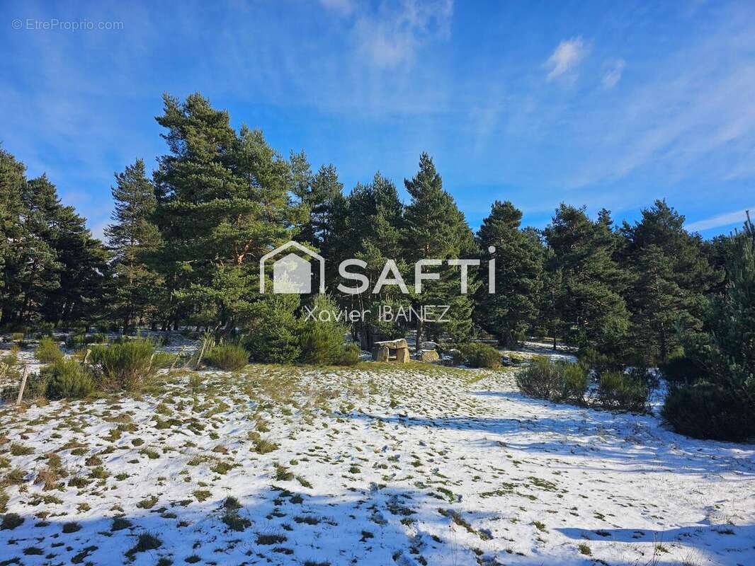 Photo 5 - Commerce à AUMONT-AUBRAC