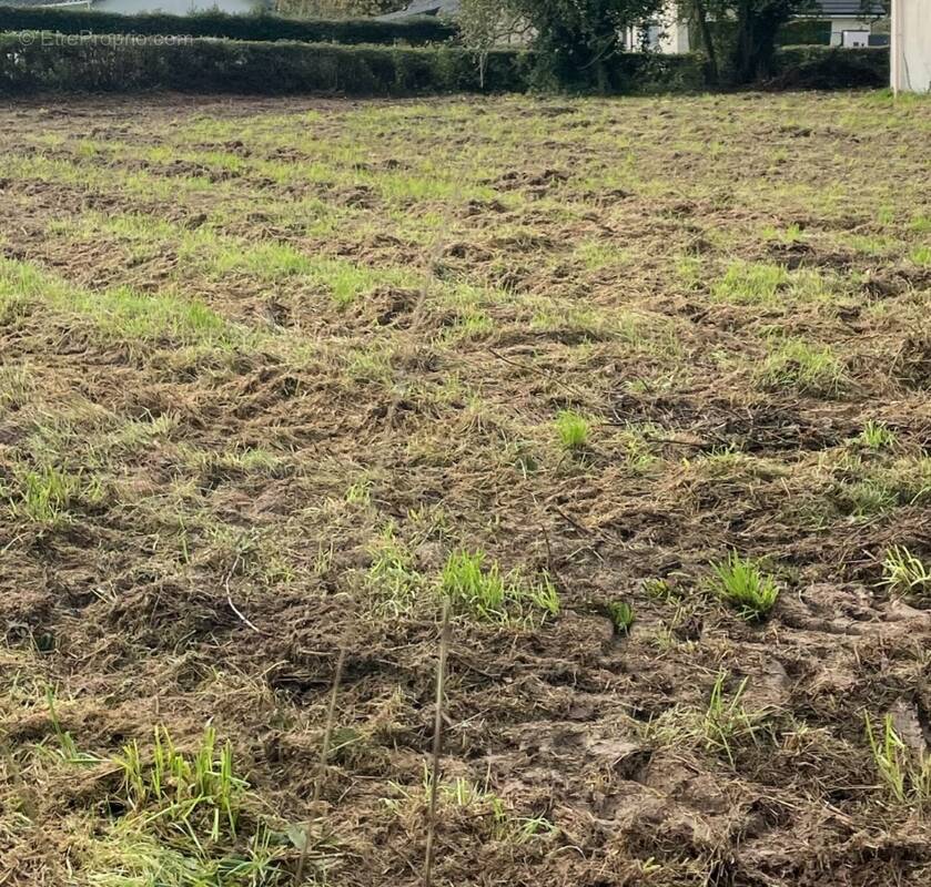 Terrain à FRANQUEVILLE-SAINT-PIERRE