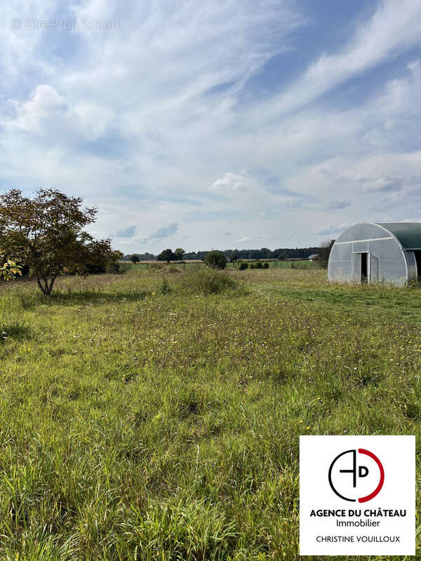 Terrain à SAINT-BENOIT-SUR-LOIRE