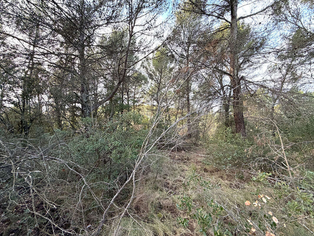 Terrain à BARJOLS