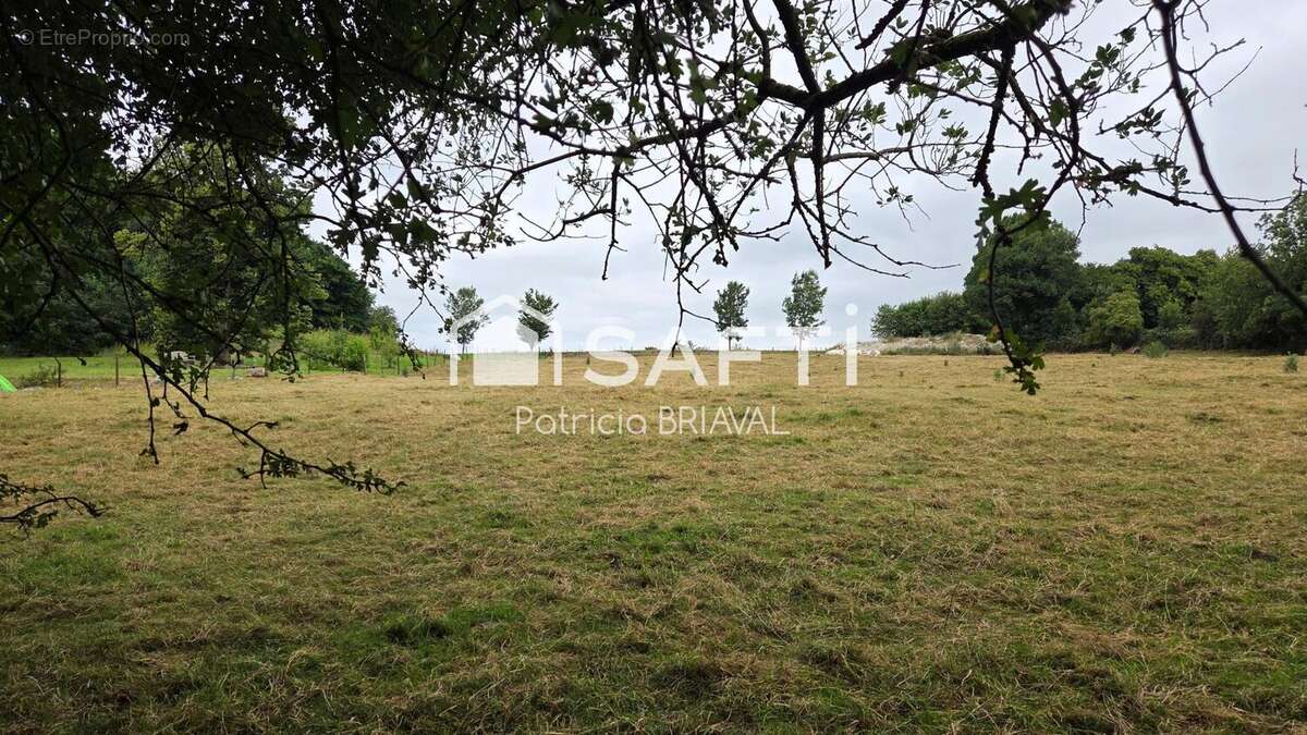 Photo 5 - Terrain à VILLERS-AU-BOIS