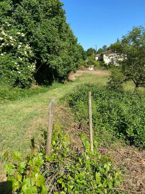 Terrain à RUELLE-SUR-TOUVRE