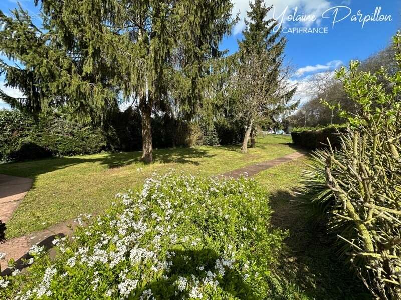 Maison à LES ESSARTS