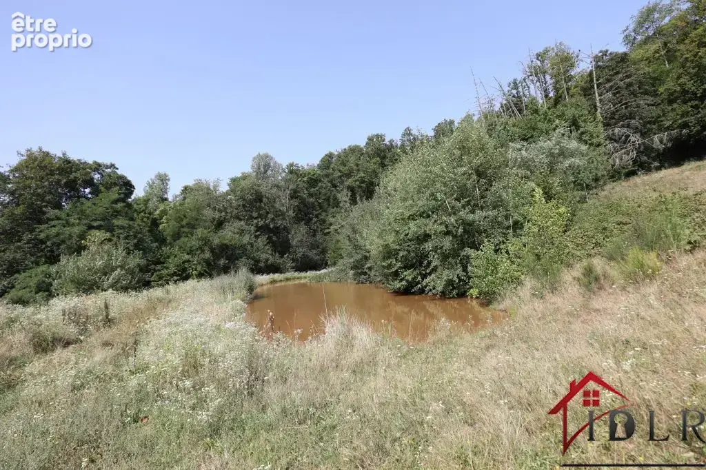 Propriété avec plan d'eau et vaste terrain   secteur La Chap - photo 3