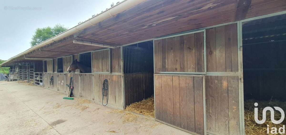 Photo 7 - Maison à VINNEUF