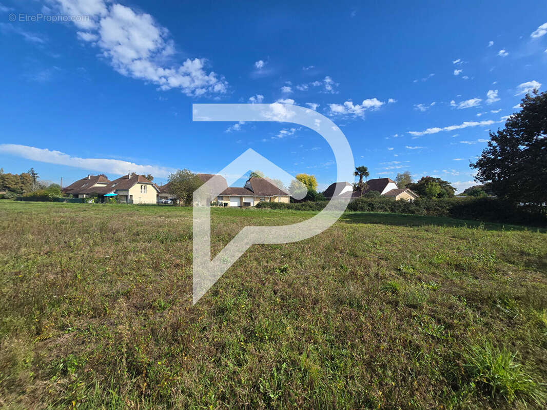Terrain à HAGETAUBIN