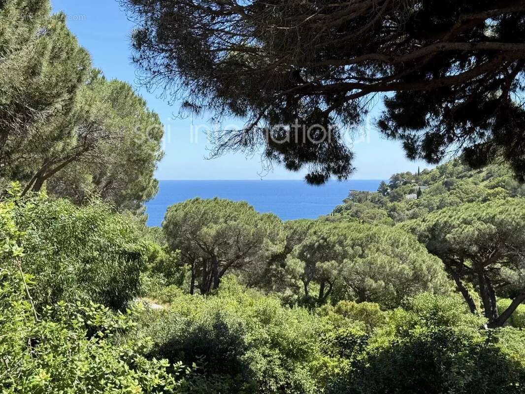 Maison à RAMATUELLE