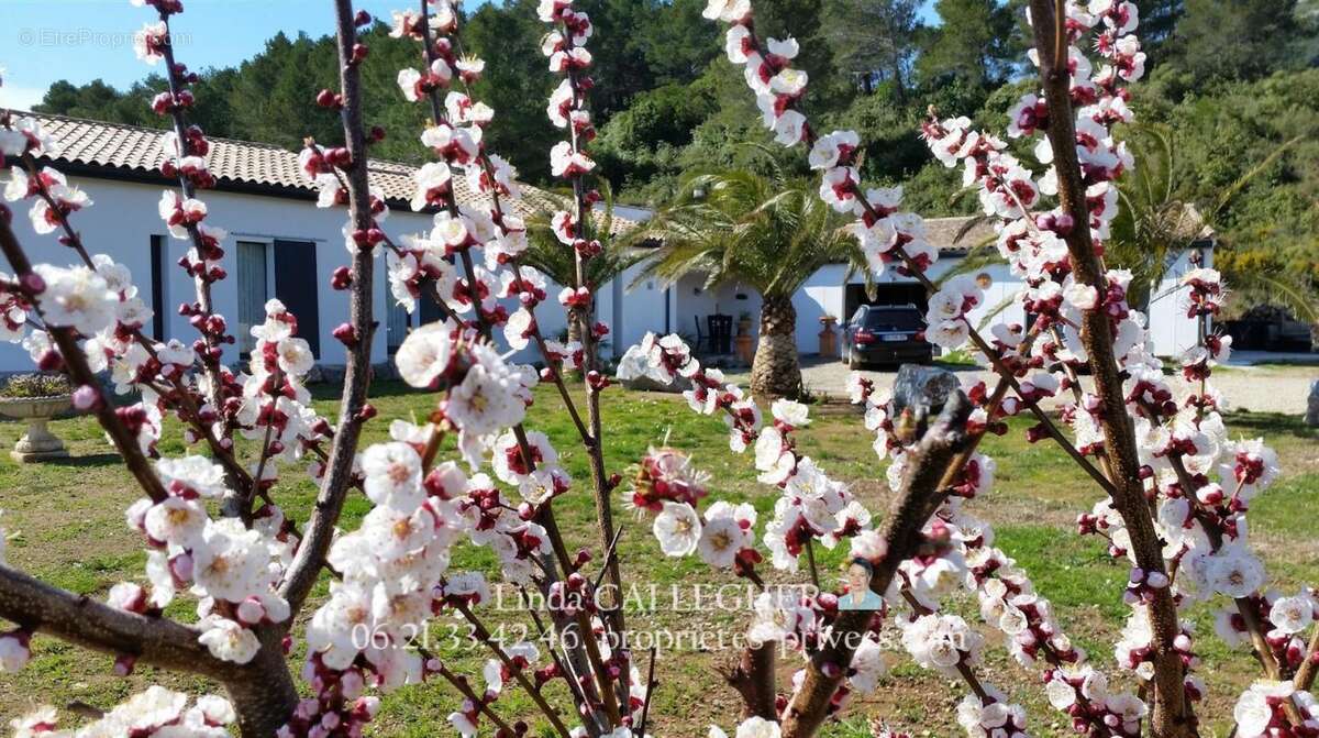 Maison à THEZAN-DES-CORBIERES