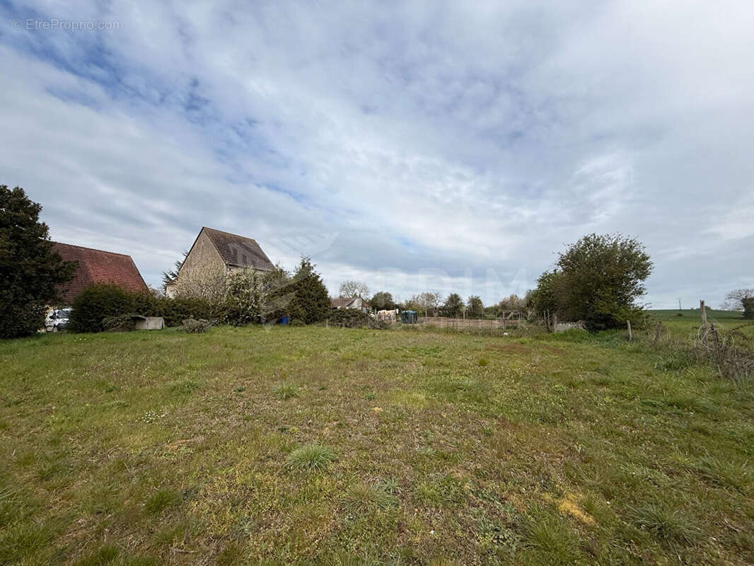 Maison Bonny Sur Loire deux maisons terrain 1762 m² - photo 15