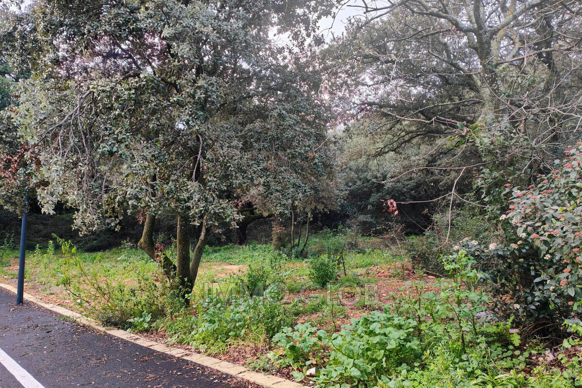 Terrain à VILLENEUVE-LES-AVIGNON