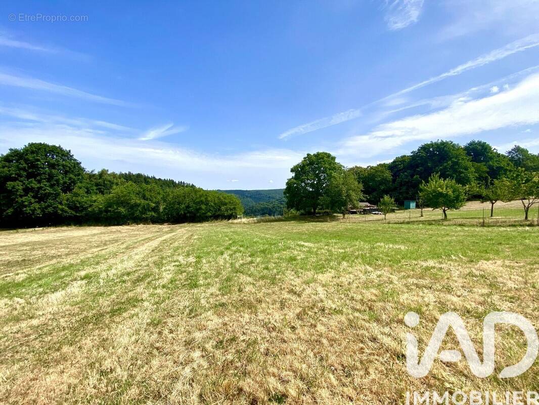 Photo 1 - Terrain à HOMMERT