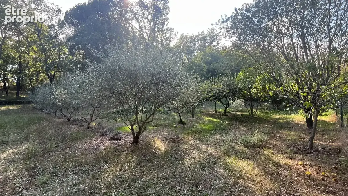 Maison T5 avec garage et piscine - Havre de paix et de nature sur près d'1 hectare - photo 15