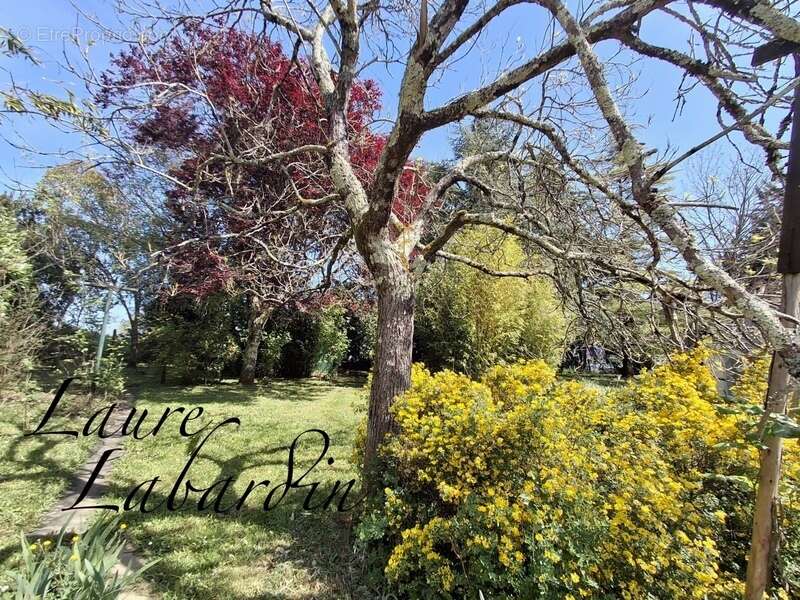 Maison à TOMBEBOEUF
