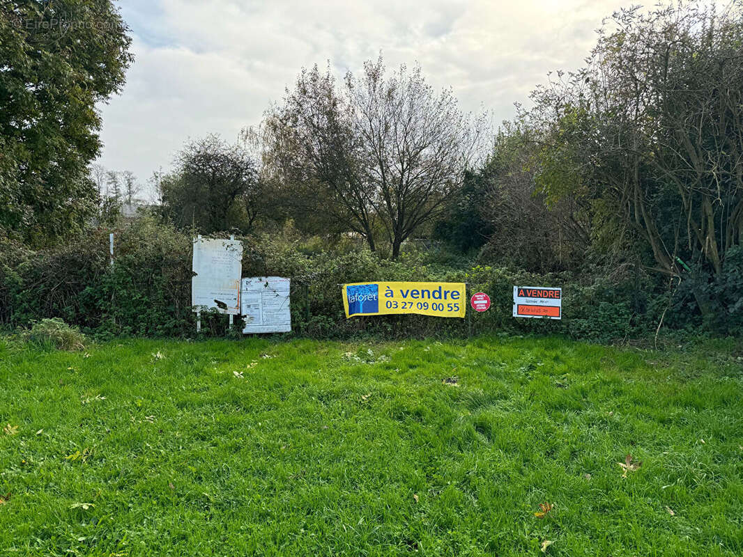 Terrain à LE QUESNOY
