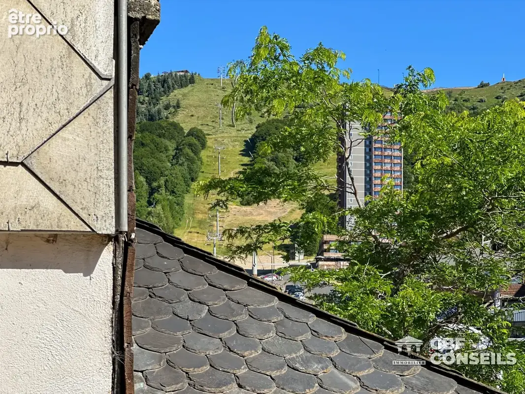 Appartement 18 m² à Besse-Et-Saint-Anastaise  - photo 8