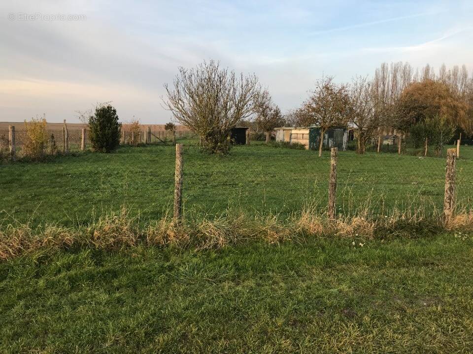 Terrain à ANDONVILLE