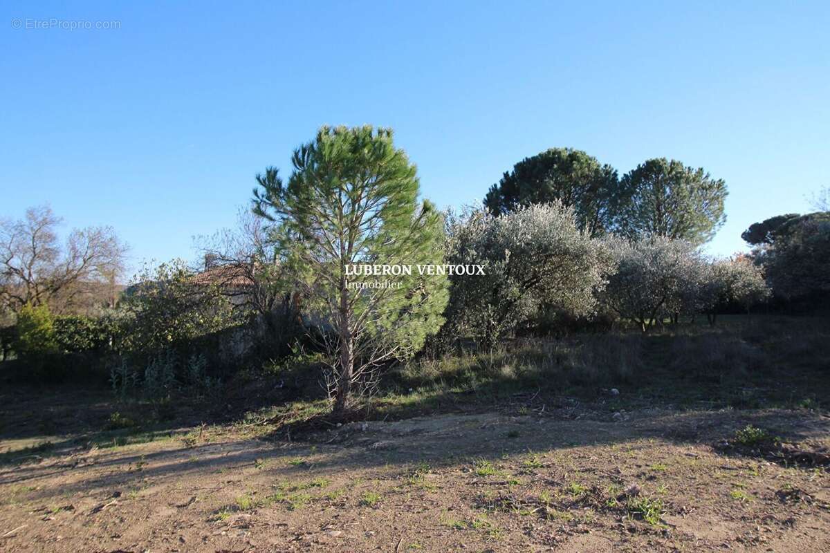 Terrain constructible viabilisé 549m² - photo 2