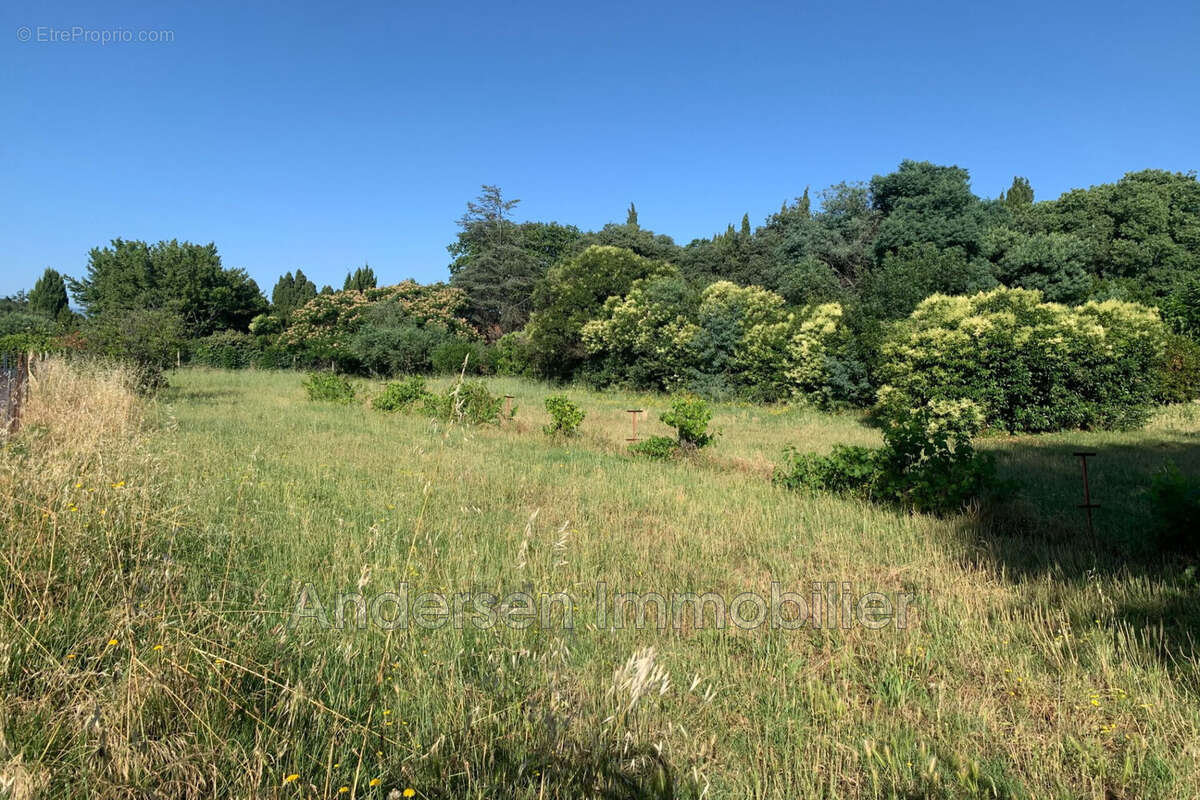 Terrain à PALAU-DEL-VIDRE