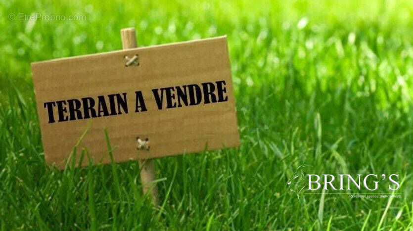 Terrain à GRINDORFF-BIZING