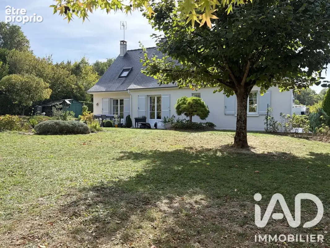 Photo 1 - Maison à SAINT-CYR-SUR-LOIRE