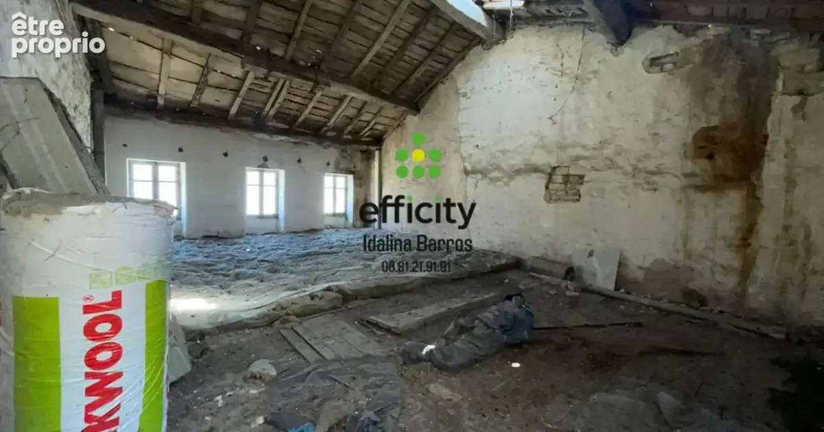 Maison 8 pièces 350 m² à vendre à Aigre (16140) - photo 17