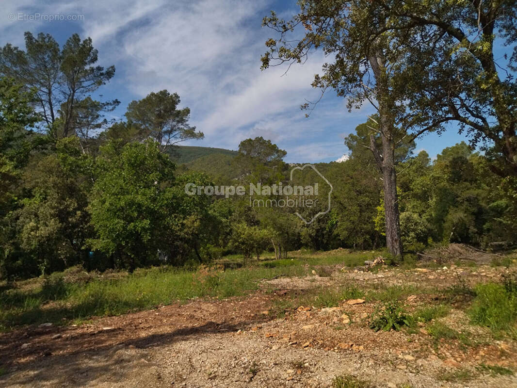 Terrain à LE THORONET