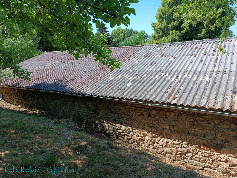 Fermette 10 pièces - grande grange - Rare à SAINT VICTOR MONTVIANEIX (63550) en Auvergne-Rhône Alpes - photo 41
