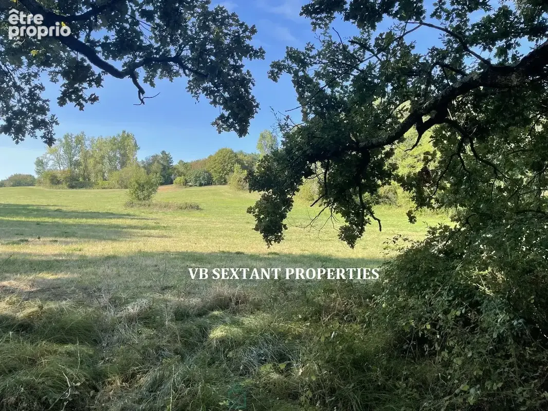 A 15mn de Bordeaux,  environnement exceptionnel pour ce domaine de 8 hectares avec 3 maisons - photo 15