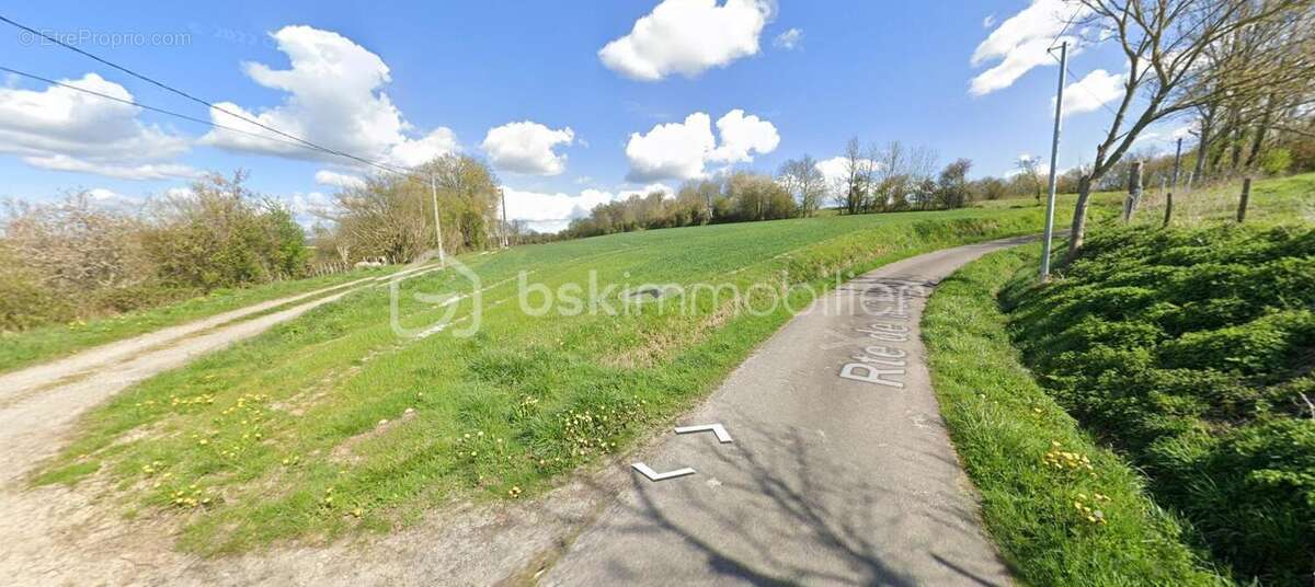  Terrain agricole / de loisir – Le Plantis – 17 840 m² - photo 5