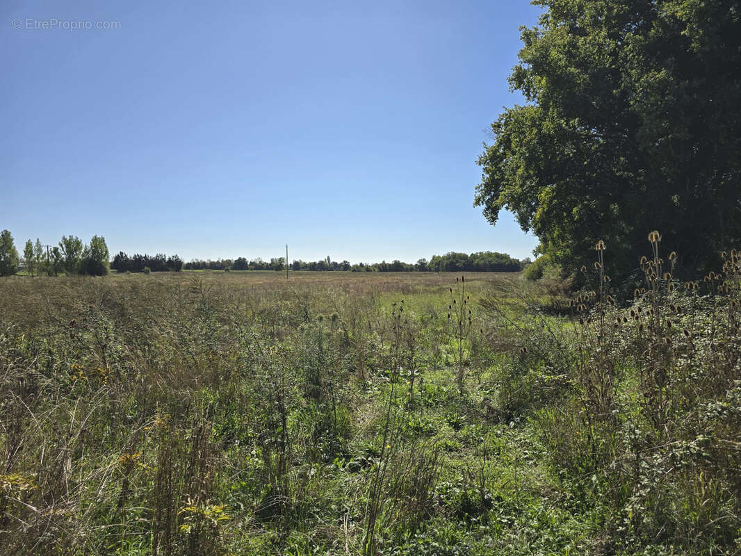 Terrain à NEUILLY-EN-DUN
