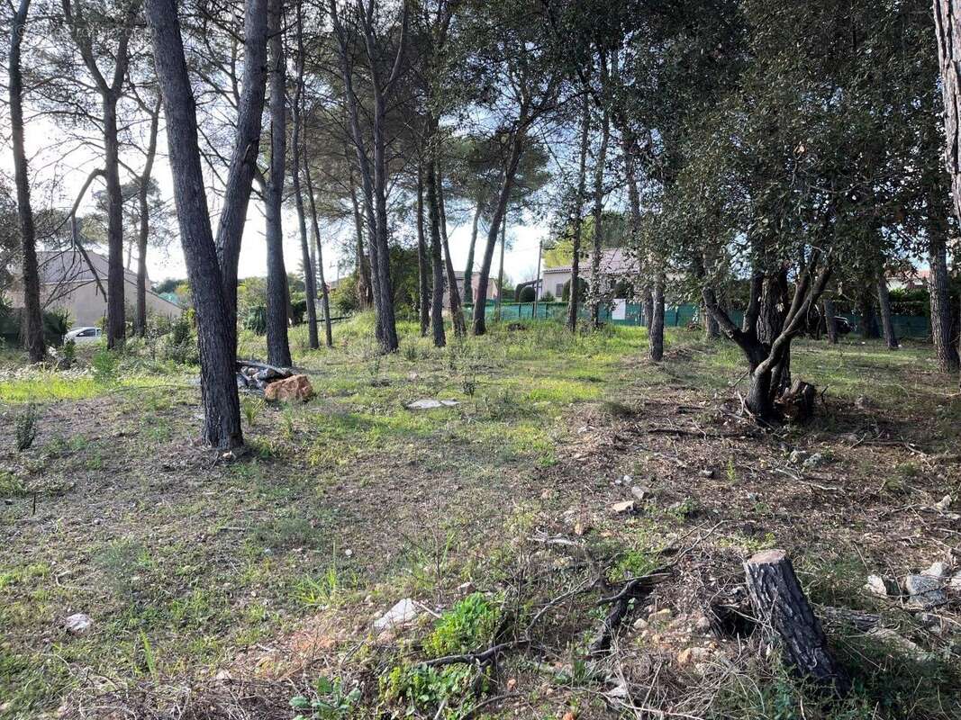 Terrain à MOUGINS