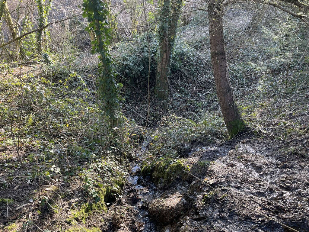 Concèze, proche du bourg, étang 2000 m2 aux normes - photo 12