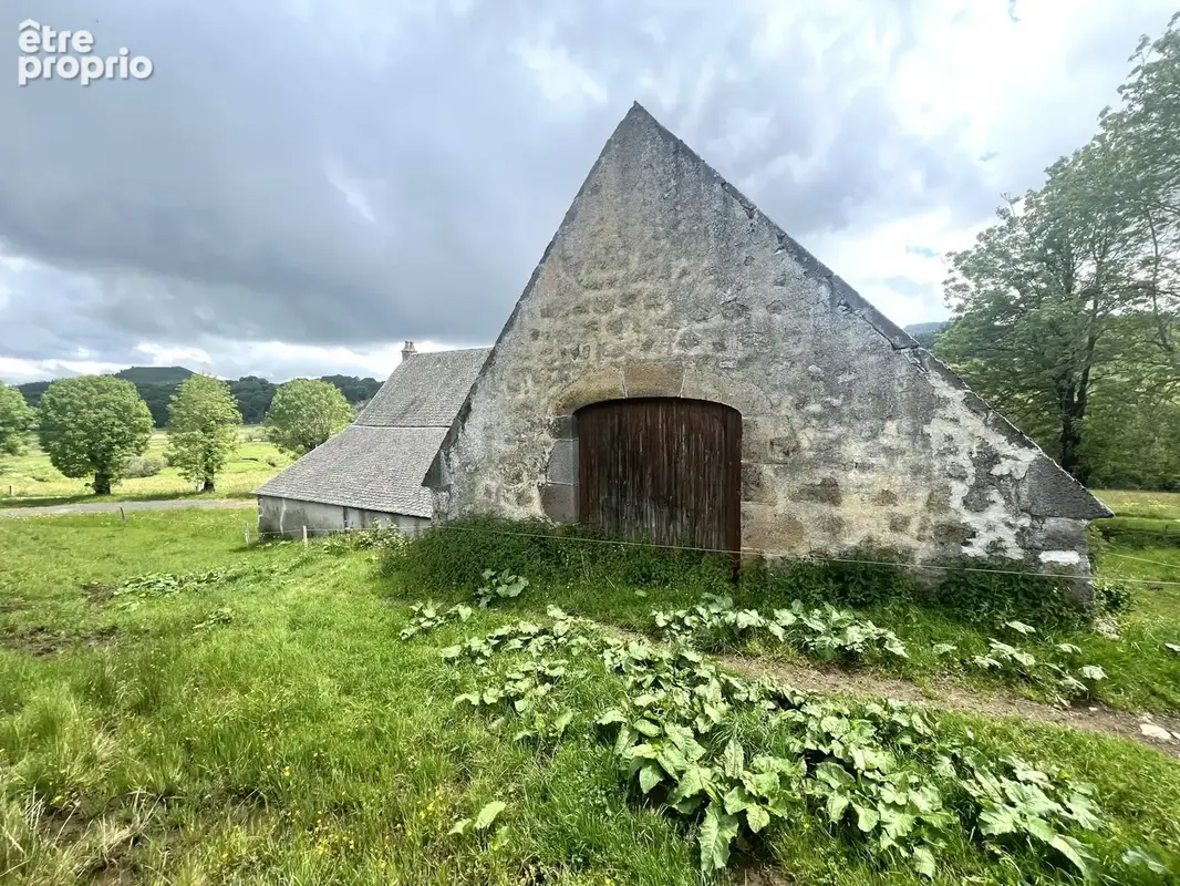 Entre besse et super-besse propriete en pierre avec grange, ecurie et source sur 12594m2 de terrain - photo 6